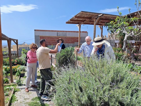 Kissiras Santorini Microgreens: Marios, one of the farm founders, showing his family place to visitors and giving them a farm tour