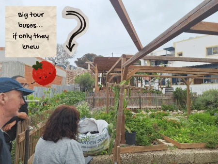 Santorini Private Tour Away From Crowds. What a Real Day Looks Like, visiting a microgreens farm right under a line of oblivious big tour buses