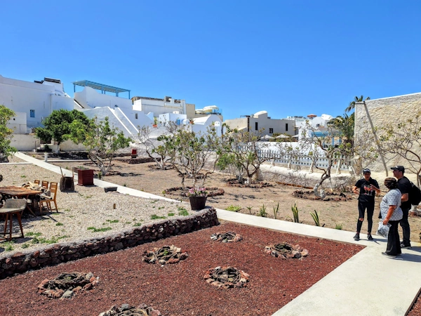 Slow Santorini Day During Cruise Ship Chaos | A Private Tour That Never Felt Rushed