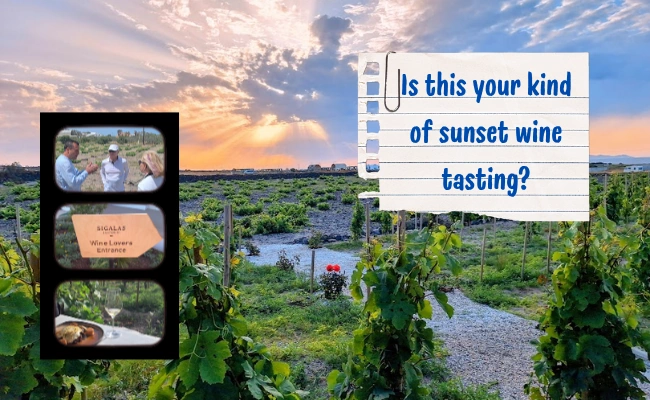 Is this your kind of Santorini wine tasting? Custom Santorini Itinerary-building with Maria